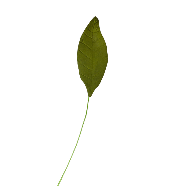 2.25" hoja de magnolia simple - verde