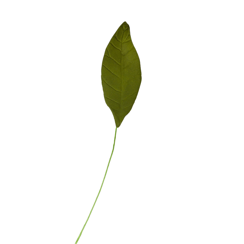2.25" Magnolia Leaf Single - Green