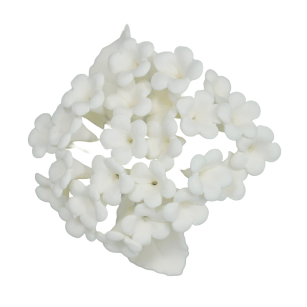 4" Snowy White Blossoms