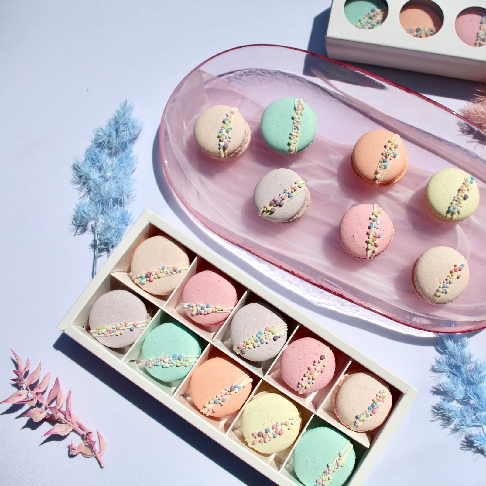 macaron OLBAA Macaron Box ~ Pink ~ holds 10 – Wholesale Sugar Flowers