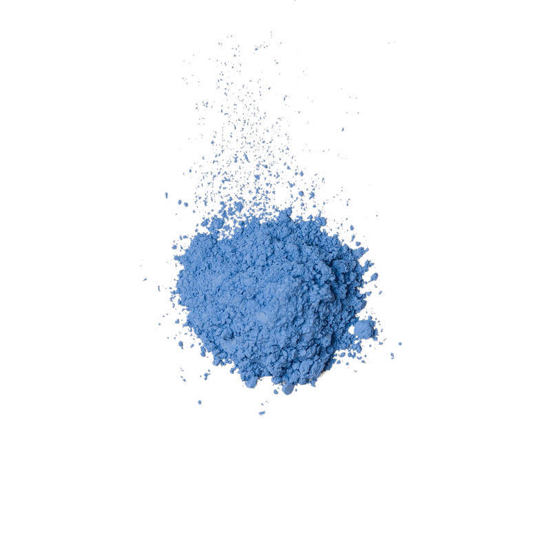 Polvo de pétalo azul marino (comestible)
