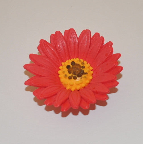 2" Shasta Daisy - Red