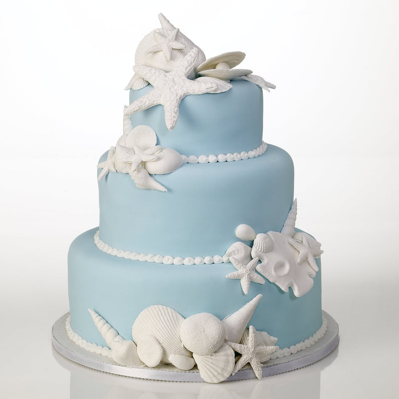 Decorating A Cake With Real Seashells